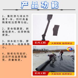 各類規(guī)格蓄水池防滲膜 支持定制 歡迎電話咨詢